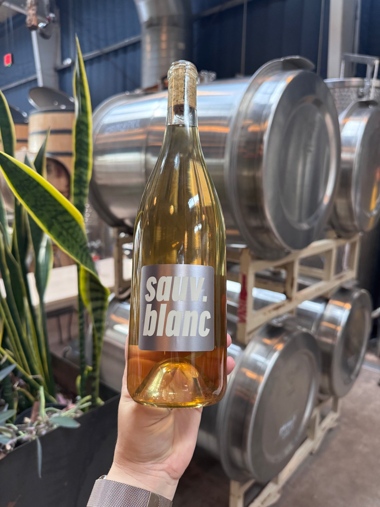 Sauv Blanc