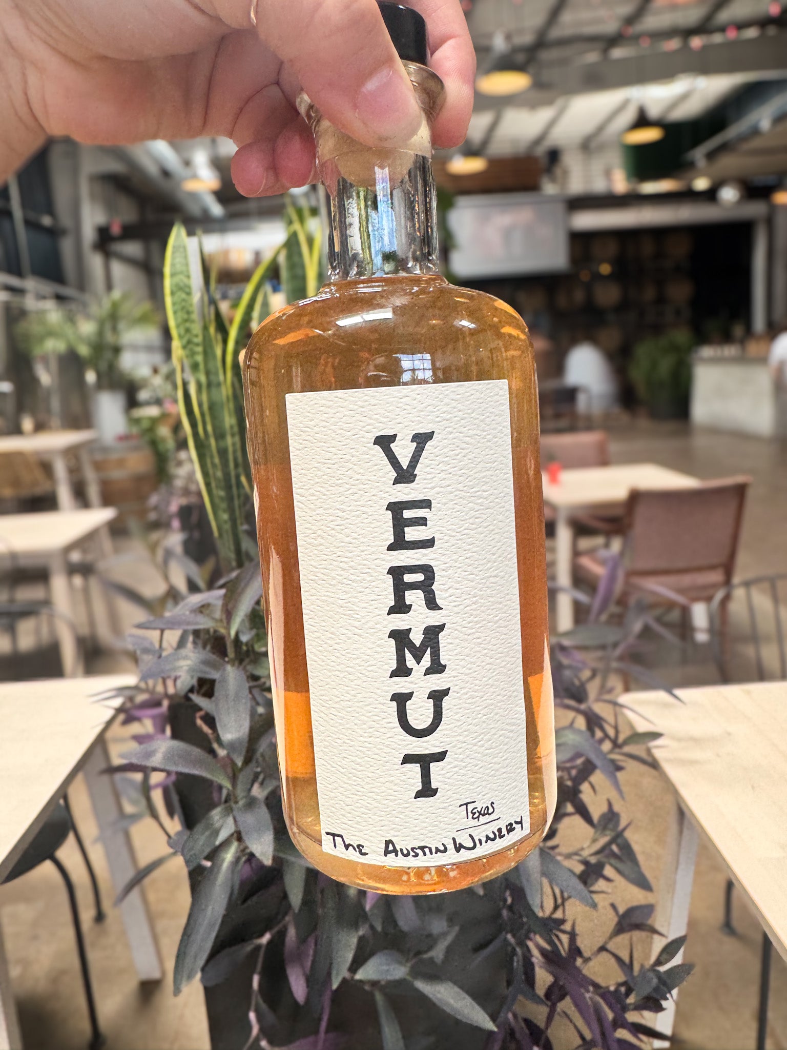 Vermut